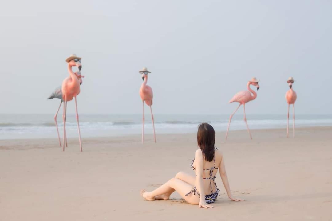 Ib306 Tu Doanh - Flamingo Hai Tien Thanh Hoa Экстерьер фото
